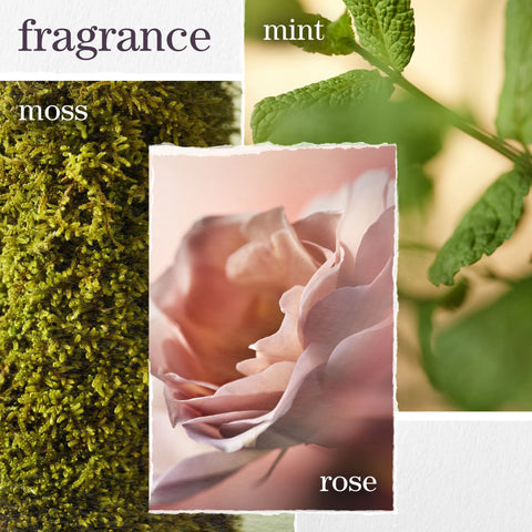 Hydrate Sheer Shampoo and Conditioner Duo: Silicone-Free Lightweight Moisturizer for Fine Hair