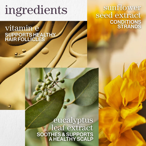 Pure Volume Shampoo and Conditioner Duo